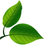 Gaia Compostagens