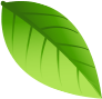 Gaia Compostagens