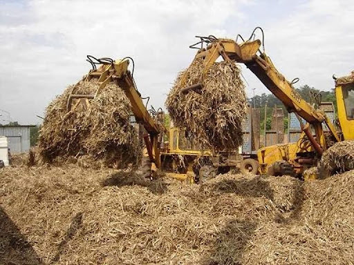 Gaia Compostagens