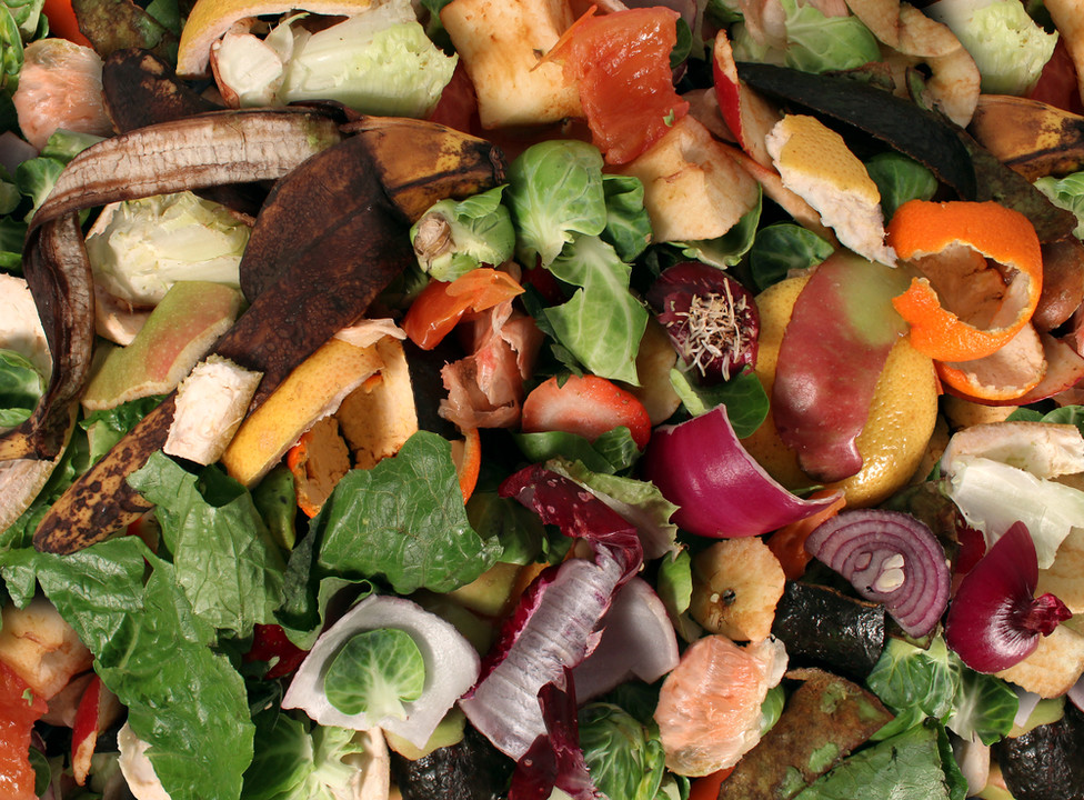 Gaia Compostagens