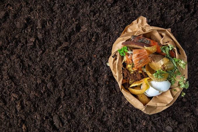 Gaia Compostagens