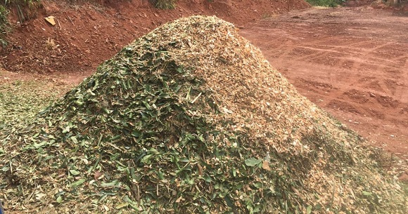 Gaia Compostagens